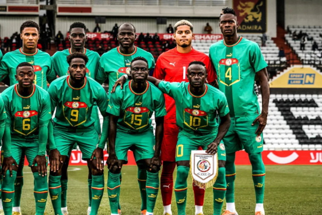 lions du Sénégal