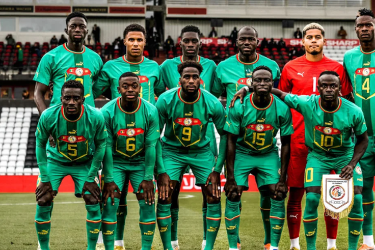 lions du Sénégal