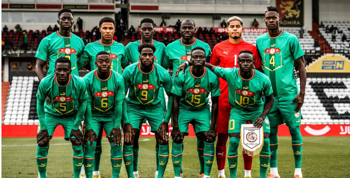 lions du Sénégal