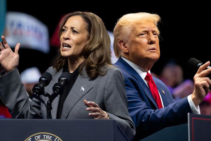 Kamala Harris and Donald Trump