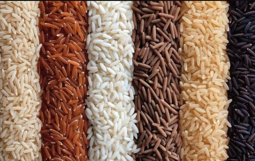 Varieties of rice [Freepik]