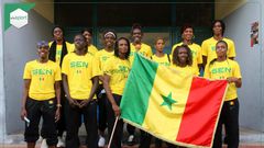 Lionnes du basket