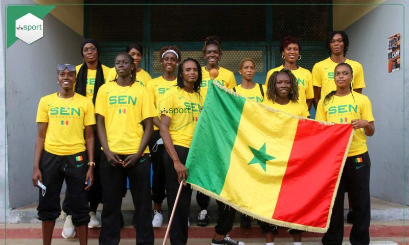 Lionnes du basket