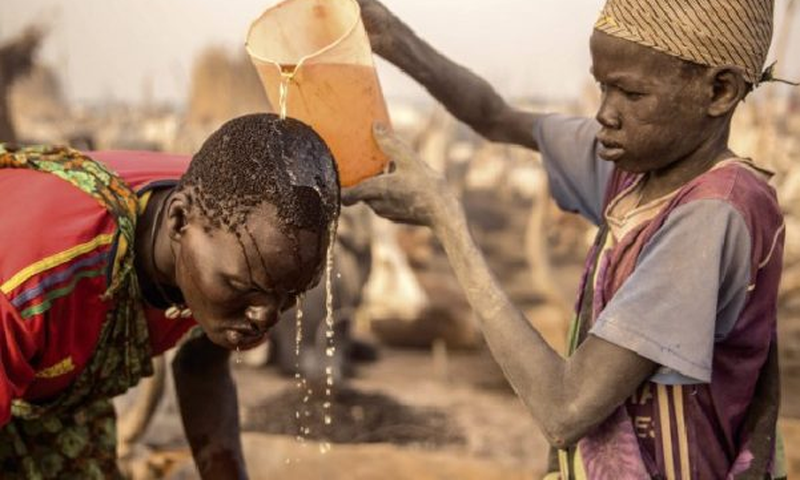 L’urine de vache, un antiseptique naturel contre l’infection