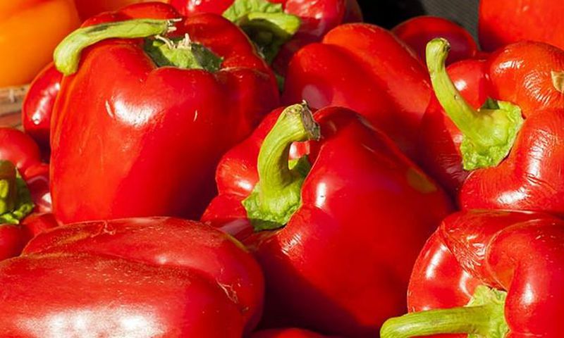 Le poivron rouge contient un punch sain de vitamine C