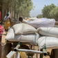 World Food Programme (WFP)
