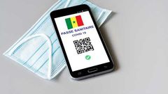 pass-sanitaire-lena-constantin-adobestock-438005998