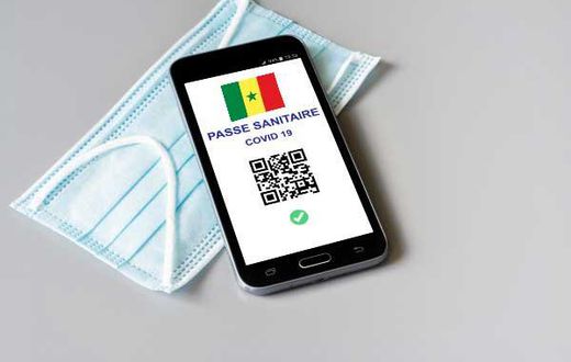 pass-sanitaire-lena-constantin-adobestock-438005998