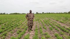 macky-sall-6-scaled