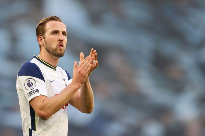 Staying put: Harry Kane will remain at Tottenham despite speculation linking him with a move to Manchester City