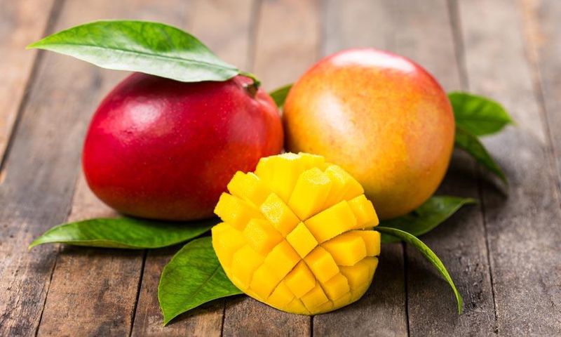 mangue