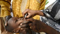 Vaccination programmes like this one in Nigeria in 2017 eradicated wild poliovirus in Africa but vaccine-derived polio still poses a threat in many countries