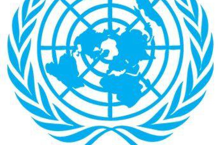 Mission de l'Organisation des Nations unies en République démocratique du Congo (MONUSCO)