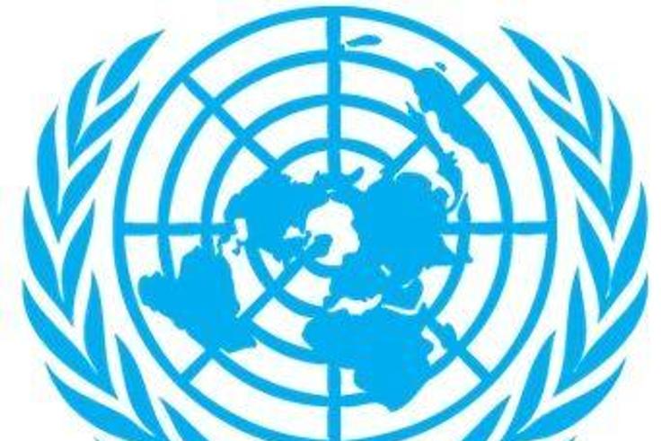 Mission de l'Organisation des Nations unies en République démocratique du Congo (MONUSCO)