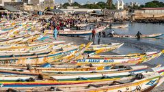 peche senegal poissons mareyeurs