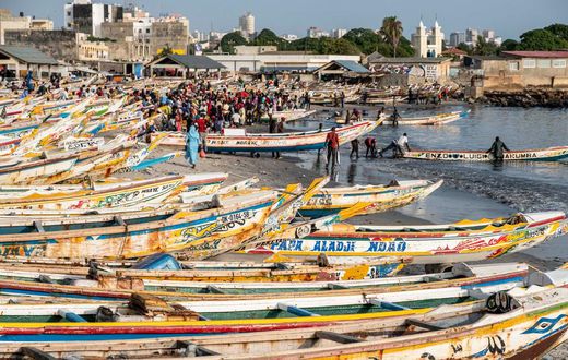 peche senegal poissons mareyeurs