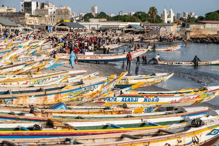 peche senegal poissons mareyeurs