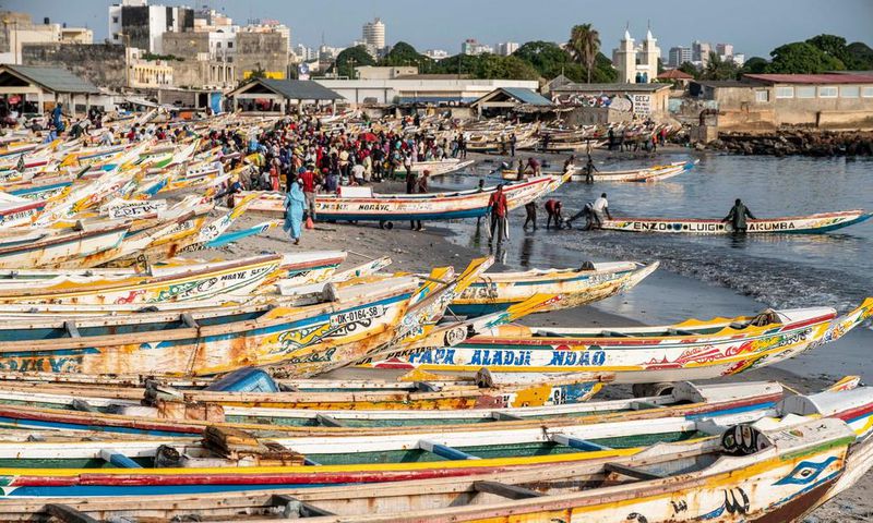 peche senegal poissons mareyeurs