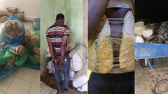 Saisie-de-drogue-de-la-Douane-Sénégalaise