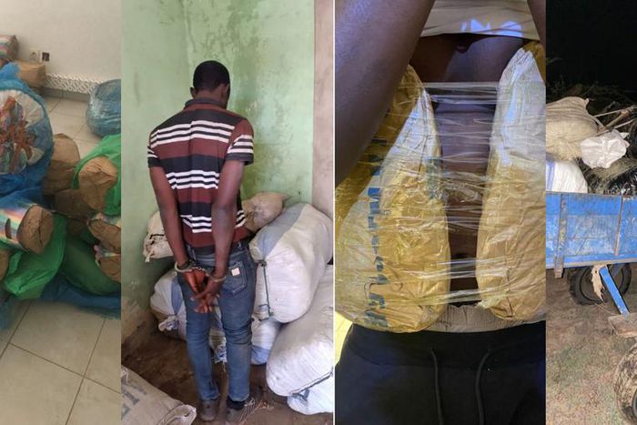Saisie-de-drogue-de-la-Douane-Sénégalaise