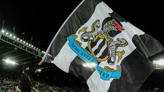 Newcastle drapeau