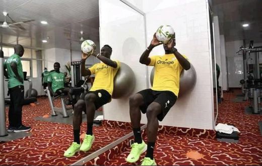 Lions en salle
