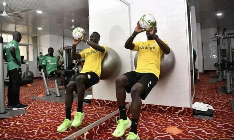 Lions en salle