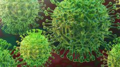 59 NOUVELLES CONTAMINATIONS AU COVID-19 SIGNALÉES CE MERCREDI