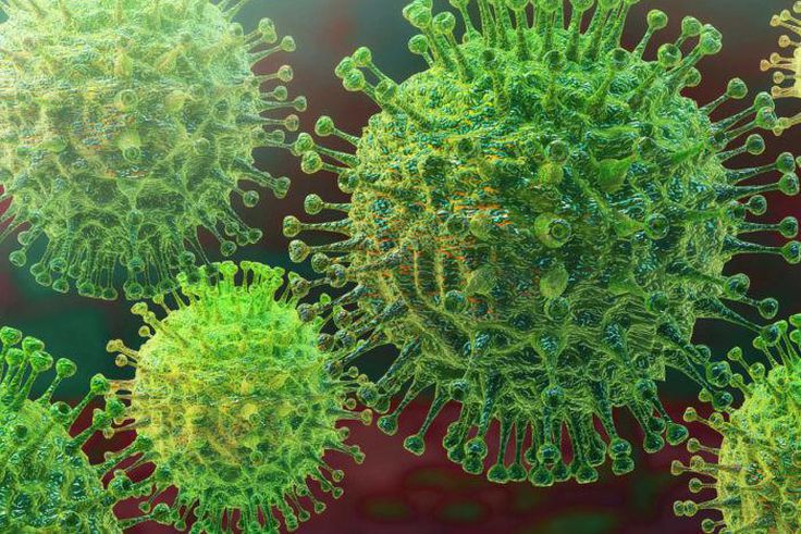 59 NOUVELLES CONTAMINATIONS AU COVID-19 SIGNALÉES CE MERCREDI