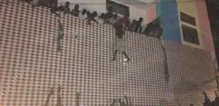 talibes sautant du haut d'un batiment