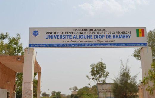 Université-de-Bambey-1000x600-1