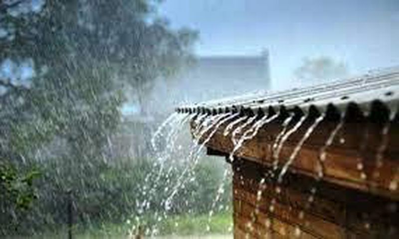 Pluie