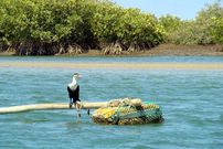 Le Sine Saloum, Source: Photo TripAdvisor