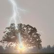 la foudre s'abat sur un arbre