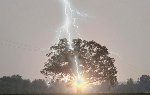 la foudre s'abat sur un arbre
