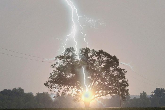 la foudre s'abat sur un arbre