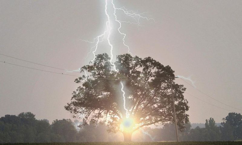 la foudre s'abat sur un arbre