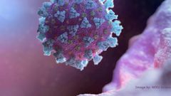 A computer image created by Nexu Science Communication and Trinity College shows a model of a betacoronavirus - the type linked to COVID-19.