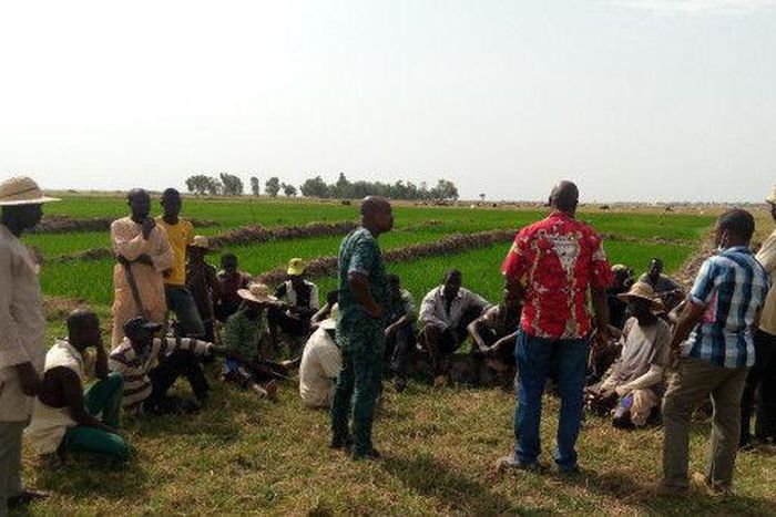 African Development Bank Group (AfDB)