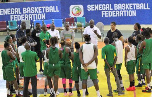 Lionnes du basket