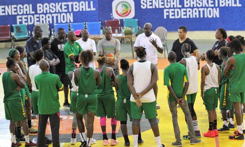 Lionnes du basket