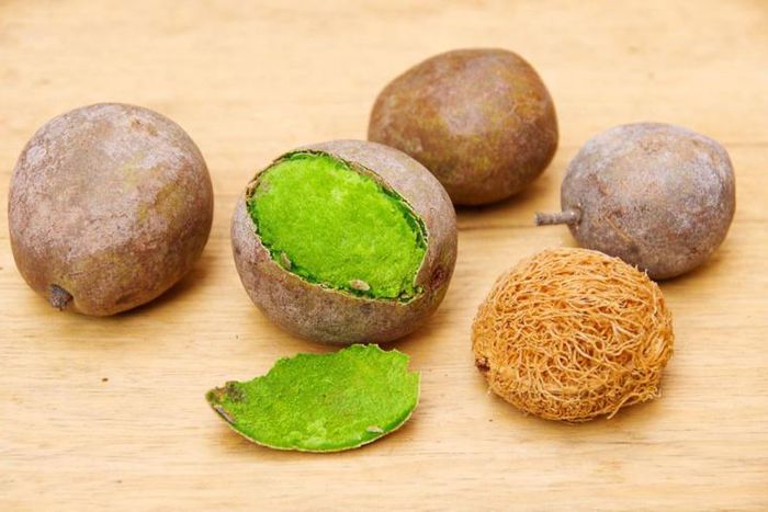 Les bienfaits du Ditakh