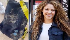 Shakira attaquée par des sangliers