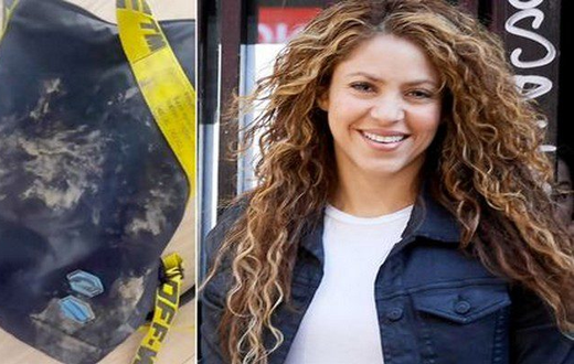 Shakira attaquée par des sangliers