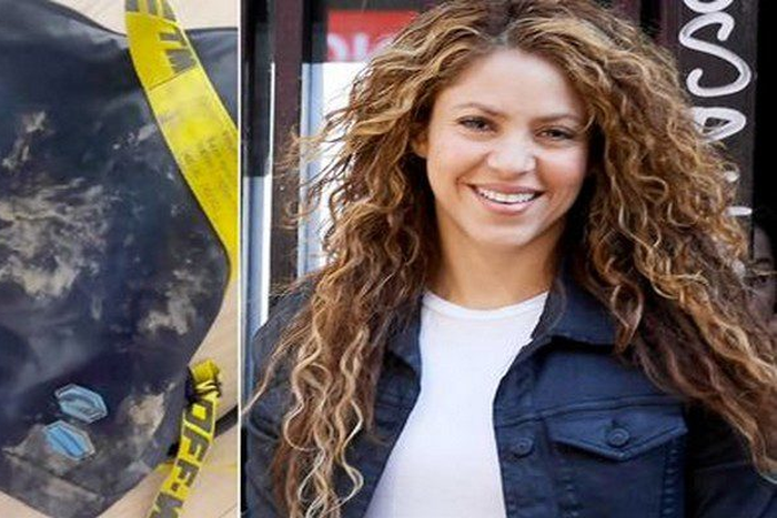 Shakira attaquée par des sangliers