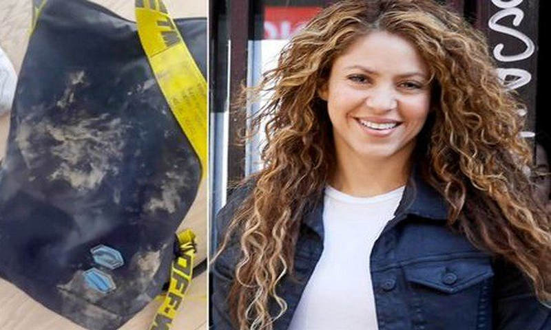 Shakira attaquée par des sangliers