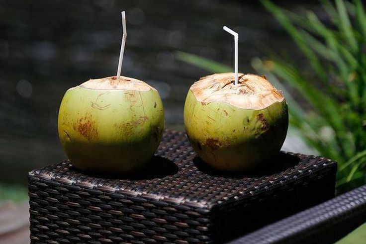 Eau de Coco | © Ruud Van Der Weel / EyeEm / Getty Images