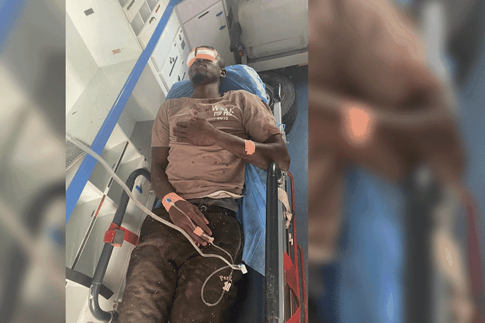 blesse dougar manifestations