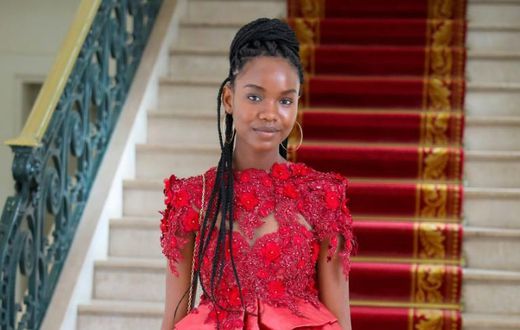 Diary Sow a donné signe de vie