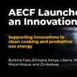 Africa Enterprise Challenge Fund (AECF)
